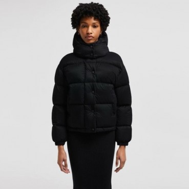 몽클레어 여성 구스 다운 패딩 - Moncler Womens Goose Down Padding 