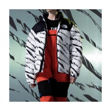The North Face  Mens Duck Down Padding Padding White - 노스페이스 2021 남성 덕다운 패딩 패딩 Nor223x