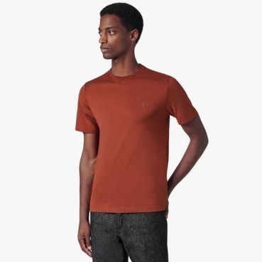 벨루티 남성 라운드 반필티 - Berluti Mens Round Tshirt 