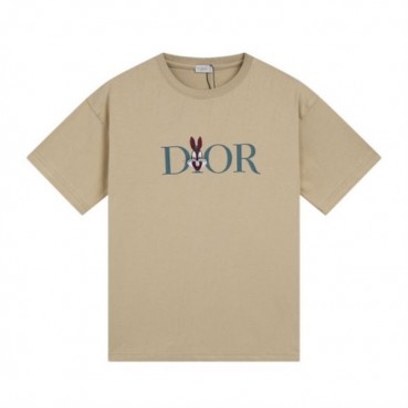 디올 남성 카멜 크루넥 반팔티 - Dior Mens Camel Short sleeved Tshirts 