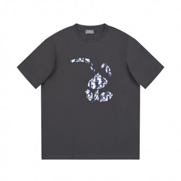 디올 남성 그레이 크루넥 반팔티 - Dior Mens Gray Tshirts 