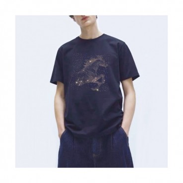 Hermes 2020 Mens Crew-neck Silket Short Sleeved Tshirts 
