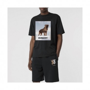 [버버리]Burberry 2020 Mm/Wm Logo Cotton Short Sleeved Tshirts - 버버리 2020 남자 로고 코튼 반팔티 Bur01989x.Size(s 