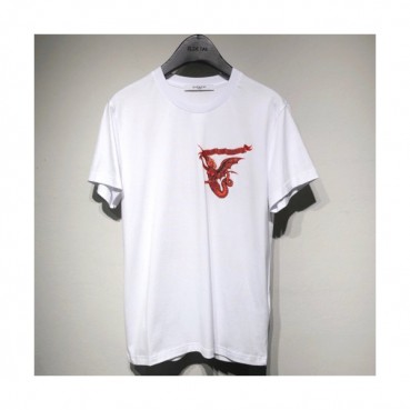 Givenchy 2019 Mens Crew-neck Cotton Short Sleeved Tshirt 