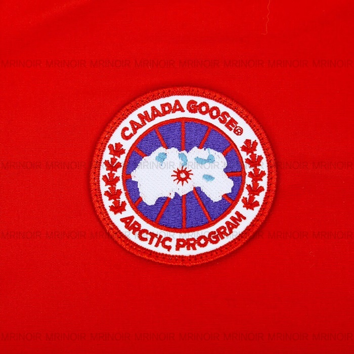 52787_15767362838277.JPG