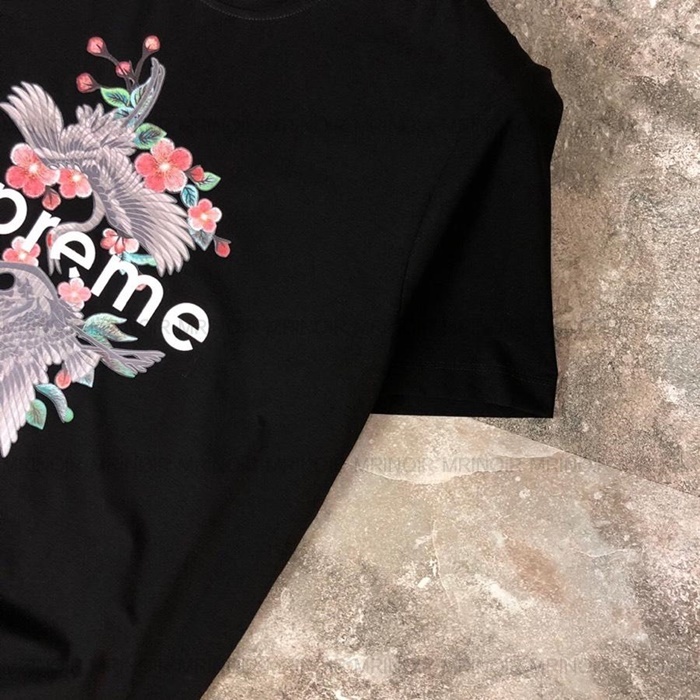 34914_15651712262164.jpg